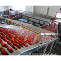 Machinerie de transformation des légumes de fruits alimentaires en conserve